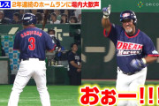 【海外の反応】50歳のラミちゃんが放った3ランホームラン【MLB】