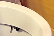 【動画】それは怖い（汗）トイレの縁から現れた驚きの生き物に恐怖する。