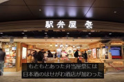 外国人ユーチューバー「東京駅でオラのおすすめスポット紹介するぞ！」海外の反応