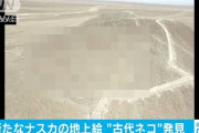 新たに発見された『ナスカの地上絵』、あまりにもやっつけ仕事すぎると話題に