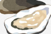 【ガチ悲報】牡蠣を食うと腹をくだす理由、人の排泄物?を食ってるからだったと判明