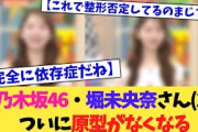 元乃木坂46・堀未央奈さん(28)、ついに原型がなくなる【2chまとめ】【2chスレ】【5chスレ】