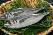魚「茹でるだけで食えます」「ヘルシーです」「おいしいです」　←お前らが食べない理由