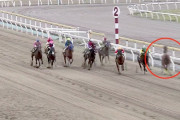 【悲報】船橋8R、ゴール前でカラ馬が逆走してきたのにもかかわらずレース成立してしまう
