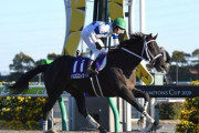 重賞7勝チュウワウィザード引退 種牡馬入り
