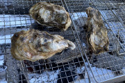 【画像】BBQで牡蠣焼いてんのよ！！！