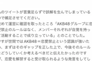【アホスレ】今の段階で向井地総監督を叩いてる奴が全く理解できん【AKB48・向井地美音】
