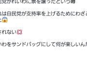 れいわ脳は無敵かも　〜　れいわ信者「自民がれいわに票(議席)を譲ったのは自民が支持率を上げるためわざとやった！💢」