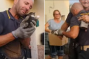 4匹の子猫すべてを火災現場から救出した消防士は、その喜びで涙を流す（イタリア）