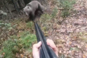 【動画】ショットガン持ち、ヒグマと遭遇してビビってしまう