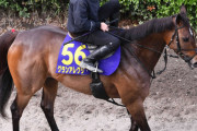 【藤沢厩舎 最後の秋】グランアレグリア　やはり天皇賞秋を目指す