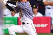 阪神近本が適時打、今季初の定位置「１番」で即結果