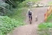 イヌが自転車を追いかけてくる。斜面をジャンプ！ → 犬、クールです…