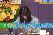 【日向坂46】ノブさんのフォローが優しいw 食レポこさかなが可愛すぎる！【ぐるナイ ゴチ】