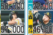 12球団別野手・投手の歴代最高年俸選手一覧ｗｙｗｙｗｙｗｙ