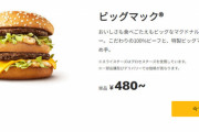 ワイ「ビッグマック食べよ。360円ぐらいやろな😄まあでも値上がりして390円ぐらいかな…」