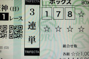 【驚愕】『ウマ娘』の声優・Lynnさん、大阪杯で10万馬券を的中！！1000円が100万円に！！！