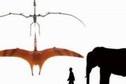 【悲報】プテラノドン、最強すぎて人間に勝ち目皆無