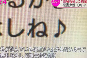 NHKのイジメだろ？極東のこだまも大概だけど　〜　【NHK】Twitterで在日コリアン女性にヘイトスピーチを繰り返した「極東のこだま」名乗る男性(51)宅に取材→父親「勘弁してほしい」