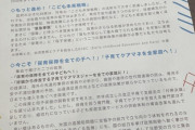 日本のバカ議員達とNPO「全ての子育て家庭に税金でケアマネぶちこむぞ」ハンガリー「子供が２人以上の母親は生涯の所得税を免除するぞ」←この差