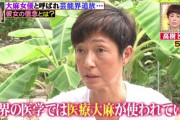 元女優・高樹沙耶さん改めて大麻合法を訴える会見→ネットの反応「この人を見てると大麻は合法化すべきじゃないと思う」