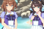 【ウマ娘】知らない人にどっちがお清楚なお牝馬なのかクイズを出したい。