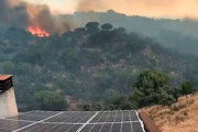 【動画】森林火災が広がる速度、想像以上だった(((ﾟДﾟ)))