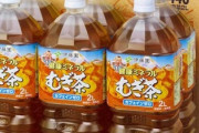 【悲報】鶴瓶の麦茶、やかんの麦茶とかいう謎の麦茶に完敗www