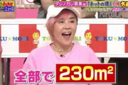 【動画】ダレノガレ明美、年収6000万円で家賃130万円だと判明する