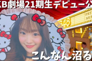【動画】AKB21期 研究生の初日公演を観覧した女ヲタのレポが素晴らしい 。・°°・(＞_＜)・°°・。