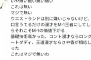 【悲報】ウエストランド、悪口言ってるだけの漫才をM-1王者にしたせいで審査員もろとも炎上wwwwwwwww