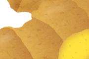 うどんの生姜を廃止しミョウガを必須要件とすることを法案提出します