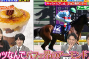 櫻坂46菅井友香「パフェ界のアーモンドアイ」競馬好き芸能人たちの競馬例えに乗っかるファインプレー【林修のニッポンドリル】