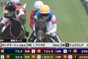 【日曜新潟６R新馬戦】3連単200万馬券ｷﾀ━━━━(ﾟ∀ﾟ)━━━━!!