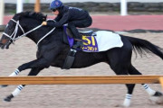 【有馬記念】ディープボンドが過去最高の仕上がり　陣営「不安要素がない」
