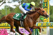 【OROカップ】競走中止のトーセンスーリヤは予後不良…JRA時代に重賞2勝