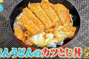 【悲報】資さんうどんとかいう謎のうどん屋が流行りだしてしまう