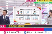 オールドメディア「子供のSNS禁止すべき？」→OM視聴者の79%が禁止に賛成ｗｗｗｗｗ