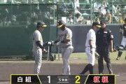 【阪神紅白戦】阪神紅組、5回に小野寺のタイムリーツーベースで1点勝ち越し！！！