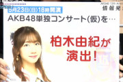 【悲報】SEIGOさん、AKB48単独コンサートの演出をクビになる