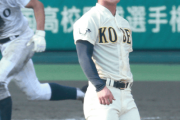 甲子園出場校地元率ランキングううううううううう