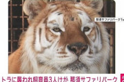 【画像】那須サファリパークで女性飼育員の右手首を食いちぎった犯人のご尊顔が開示される