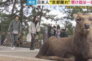 1泊20万円はざら　京都から日本人が消える…受け皿は高市首相の地元、奈良　でも夜7時には人がいない...「夜早すぎ問題」克服がカギ