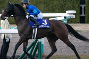 【阪神JF4着】ウーマンズハート、武豊に乗り替わりでチューリップ賞へ