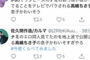【絶望】高嶋ちさ子「思春期の息子がワンピースのナミで抜いてる」