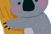 コアラとかいう冷静にみたらあんまり可愛くない動物w