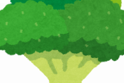 【画像】ブロッコリーの隠れた汚れや虫を効率良く取る方法がこれｗｗｗｗ