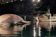 【これは臭い】パンパンに膨れた巨大クジラの死骸、イタリア沿岸に流れ着く
