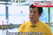 【朗報】新型コロナウイスルさん、海洋生物の生態系をも再生させてしまうｗｗｗｗｗｗｗｗ