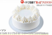 【画像】日本のクリスマスケーキ、限界突破ｗｗｗｗｗｗｗｗｗｗｗｗｗｗｗｗｗｗ